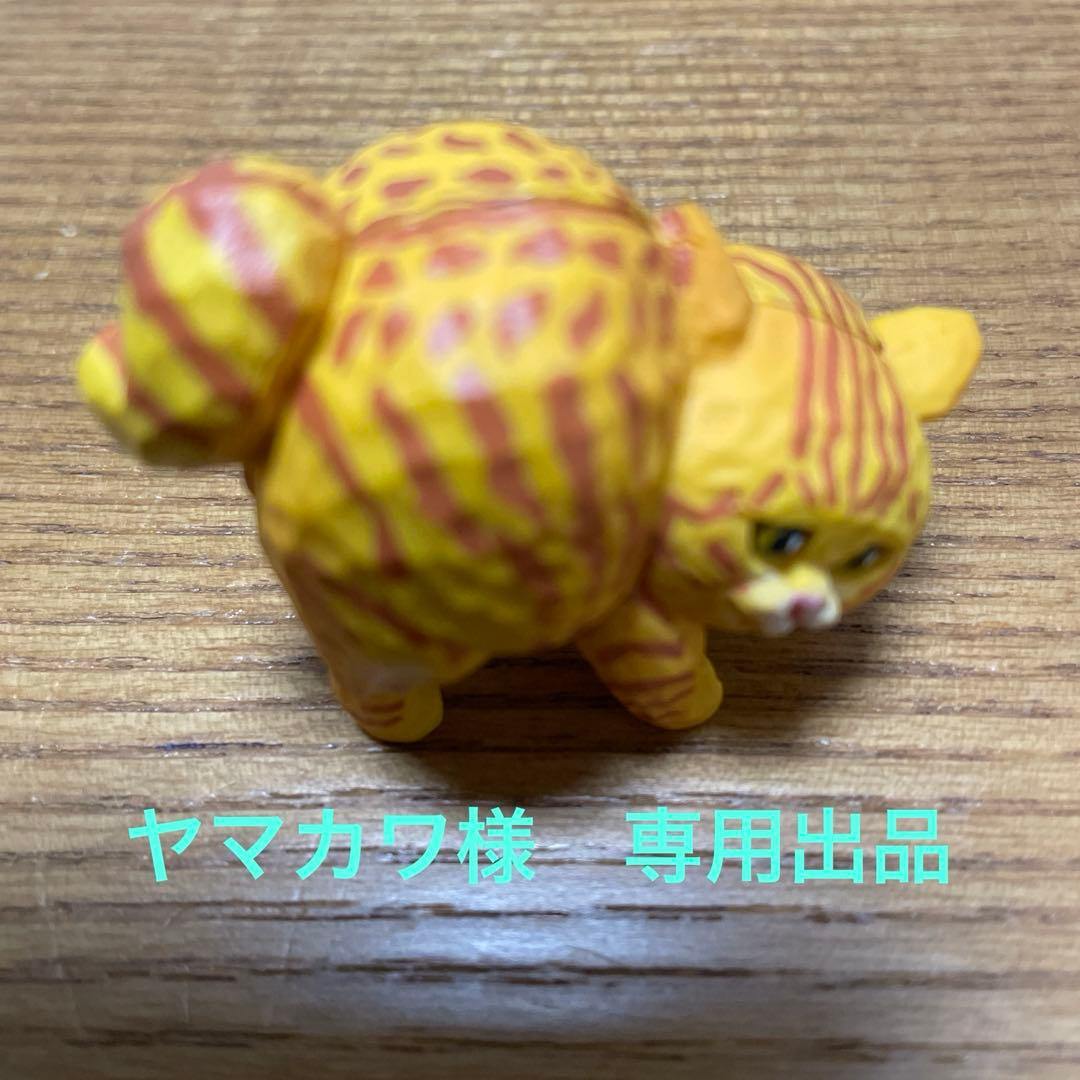 ヤマカワ　猫