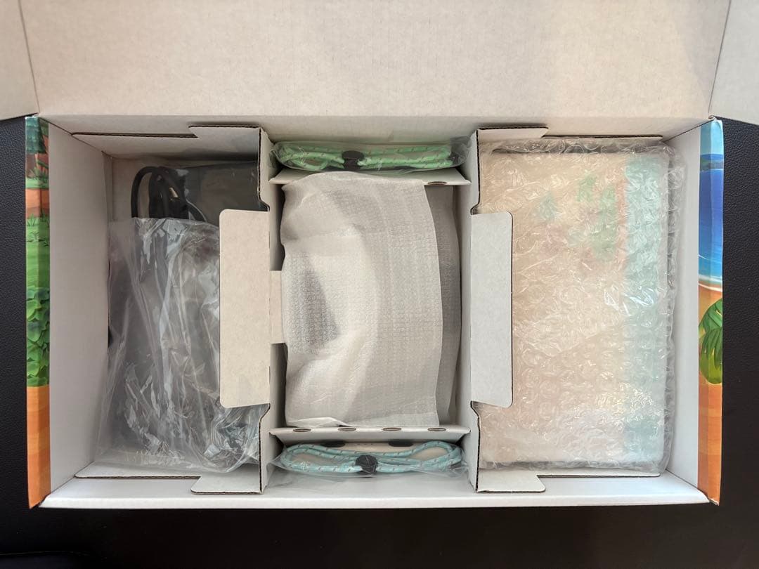 美品　Nintendo Switch あつまれどうぶつの森　本体セット