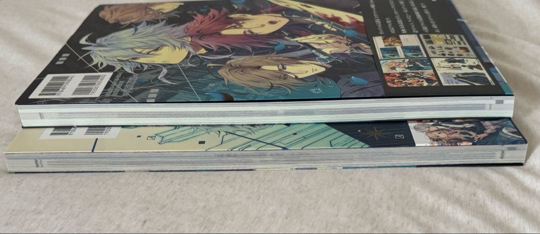 ピオフィオーレの晩鐘 ricordo/PIOFIORE 1926アートブック