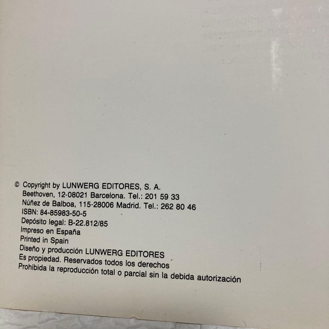 アート・デザイン・音楽 UN PASEO POR MADRID