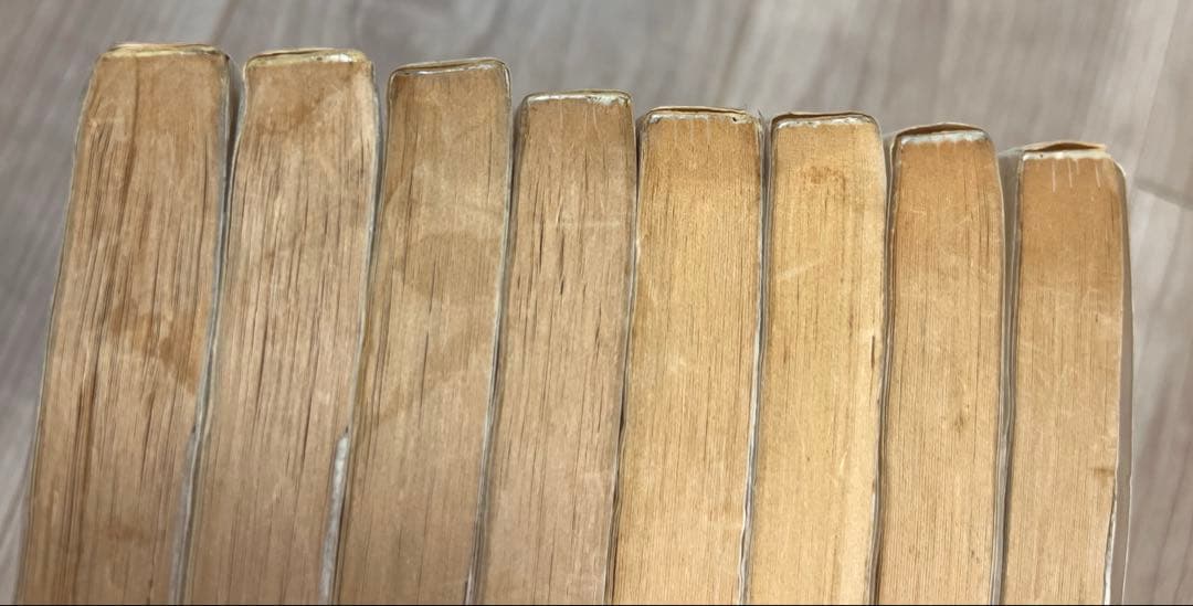 パンクポンク　たちいりハルコ　小学館　てんとう虫コミックス　8巻セット