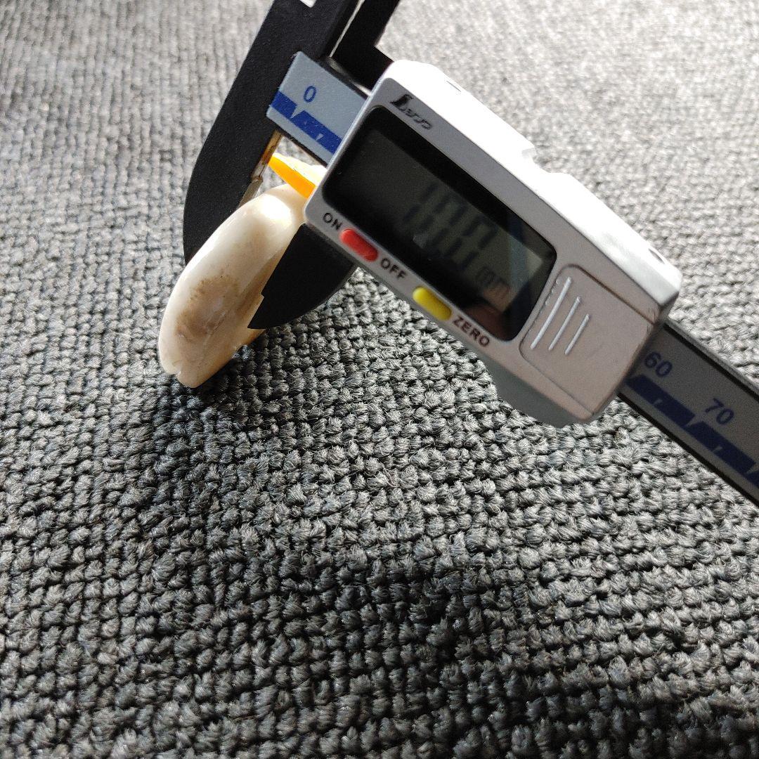 インディアンジュエリー　フェティッシュ　フェティシュ　ネイティブアメリカン