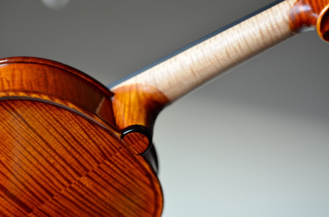 【最上位 新品】Gliga Vasile Maestro バイオリン 4/4