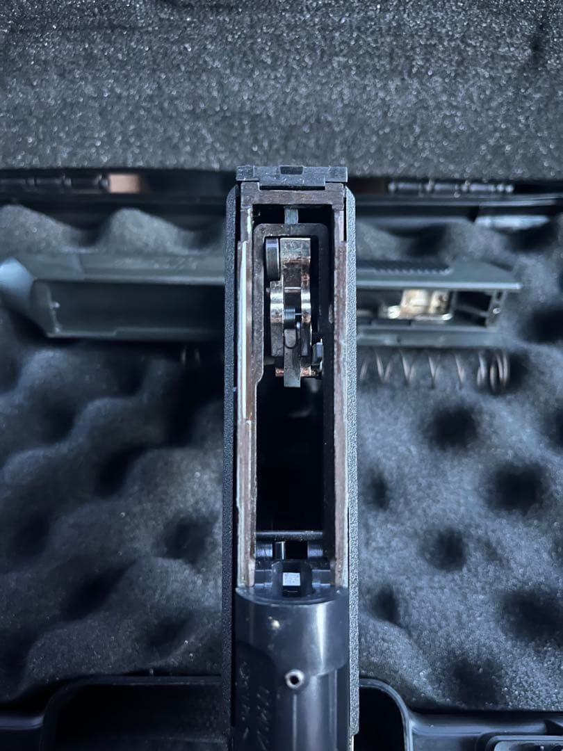 タニオコバ：VP70M