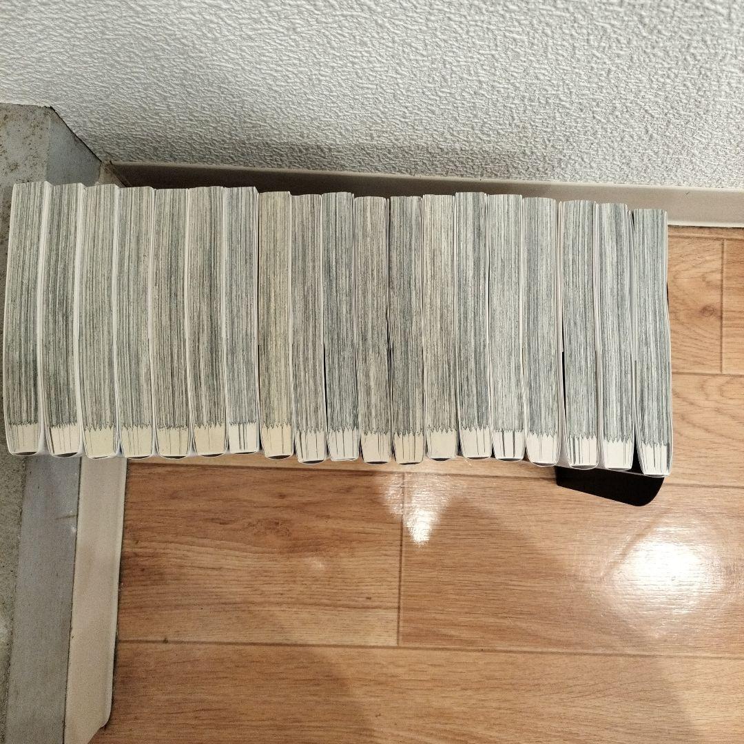 リエゾン　1巻から19巻