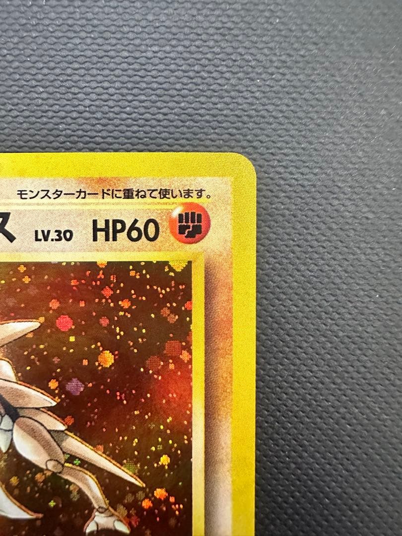 【旧裏】 なにかの化石／カブト／カブトプス 3枚セット ★ホロ