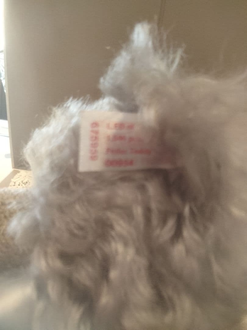 ドイツ シュタイフ　とフェイラー テディベア コラボです。00954/1500