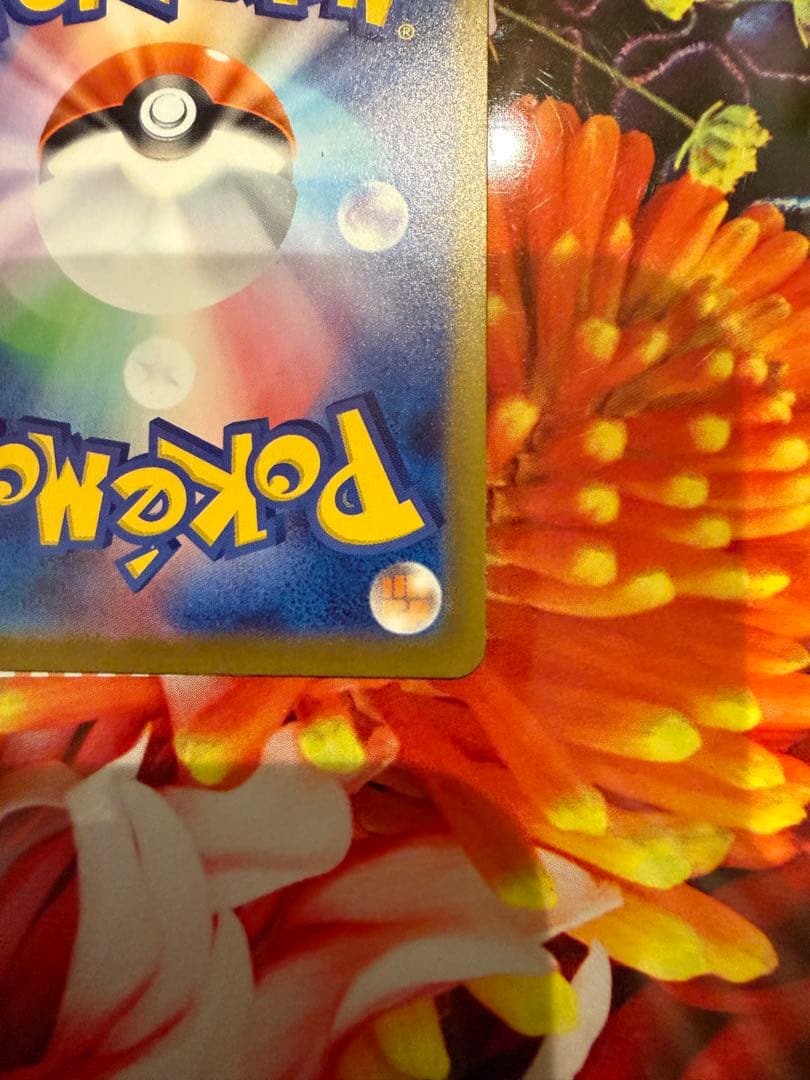 【美品】 ポケモンカードメガリザードンXex SAR 110/080