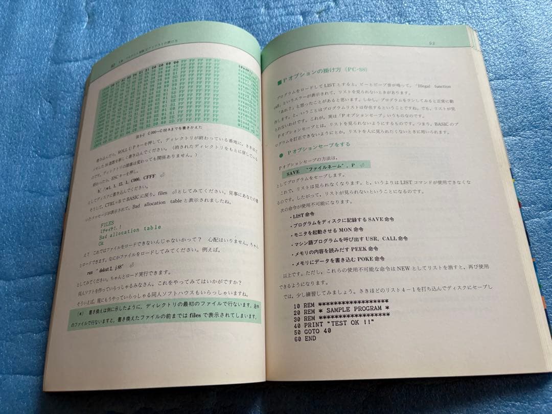 初級プロテクト掛け方教室: PC98/88ディスク入門マル持セミナー　五代陽子