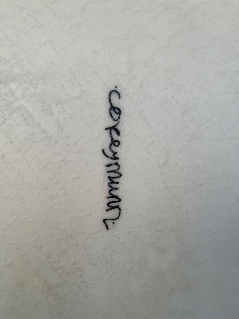 ロッキー　コーリーマン　ワンダーフィッシュ5.4