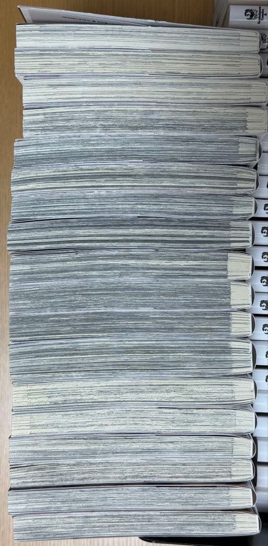 文豪ストレイドッグス シリーズセット 漫画 コミックス　４４冊まとめ