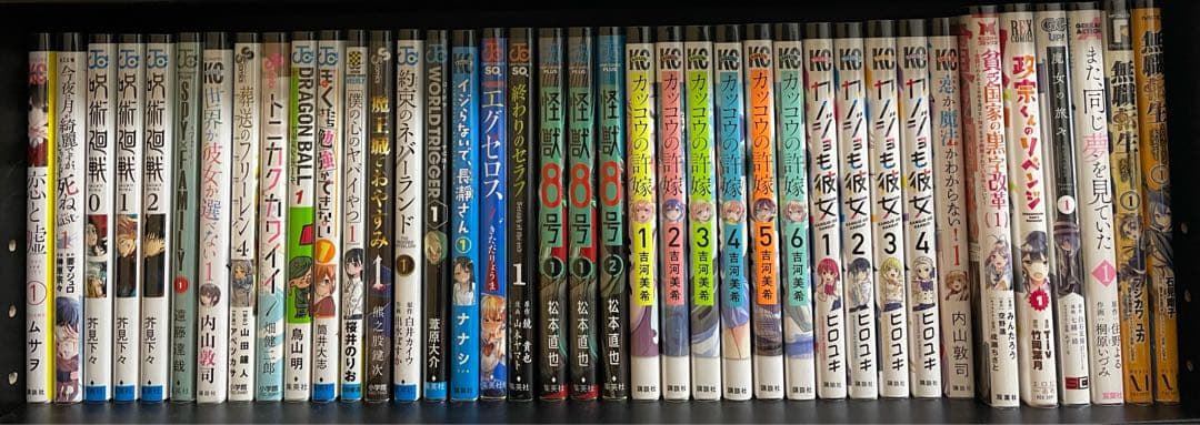 マンガ81冊+ラノベ24冊（計105冊）