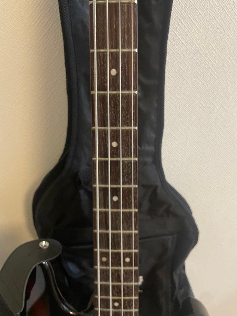 【美品】SX STANDARD SERIES CUSTOM HANDMADE