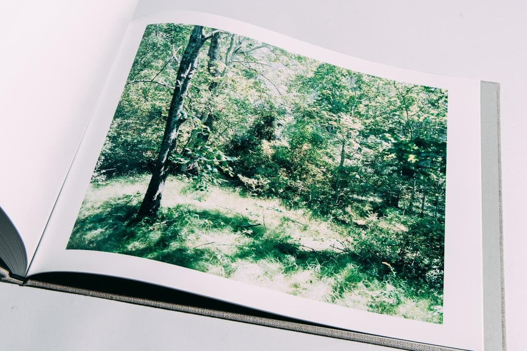 知覚の感光板　鈴木理策　Risaku Suzuki