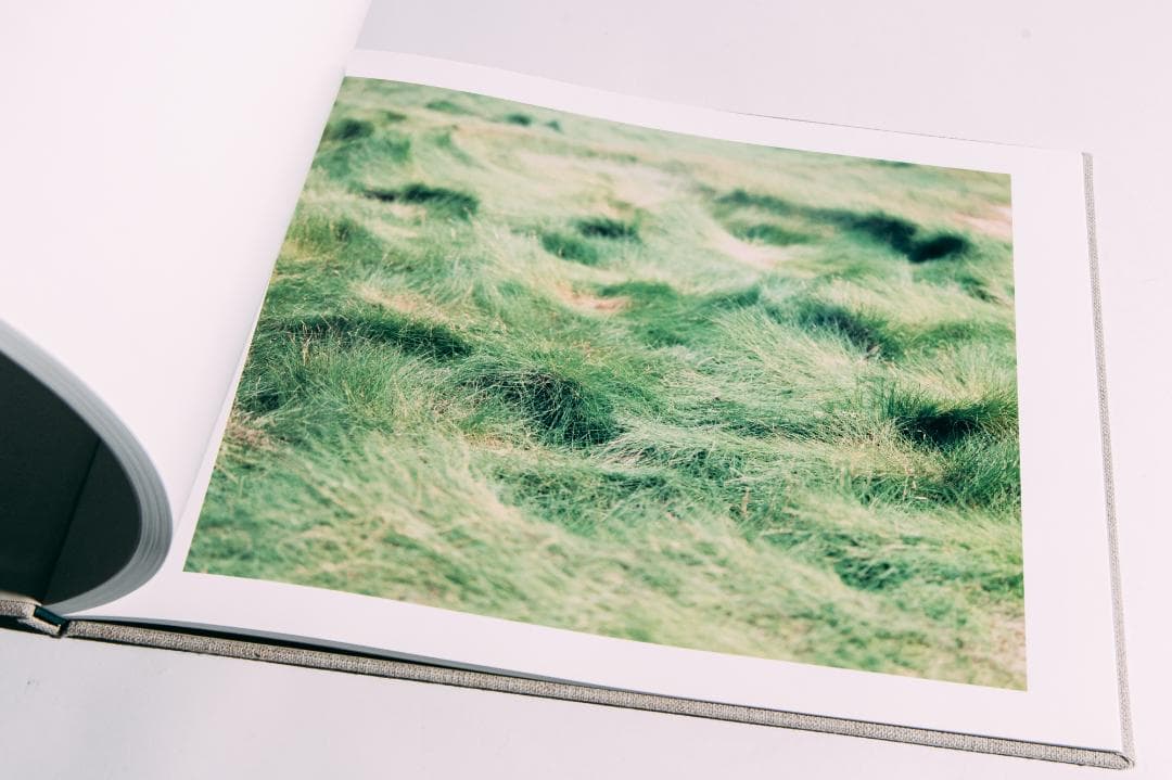 知覚の感光板　鈴木理策　Risaku Suzuki