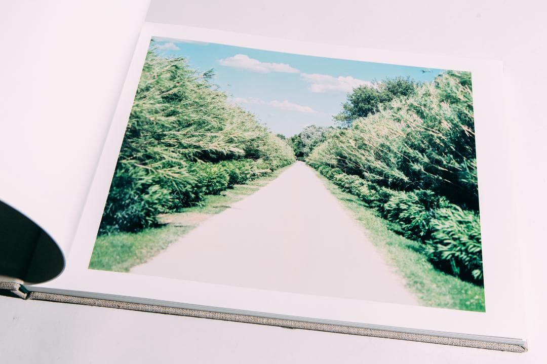 知覚の感光板　鈴木理策　Risaku Suzuki