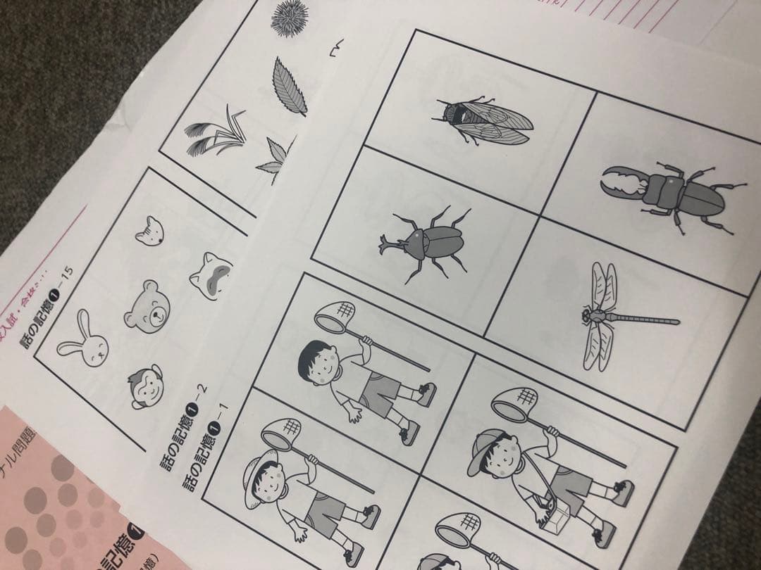 改訂版しんが会　オリジナル問題集63冊フルセット　中古