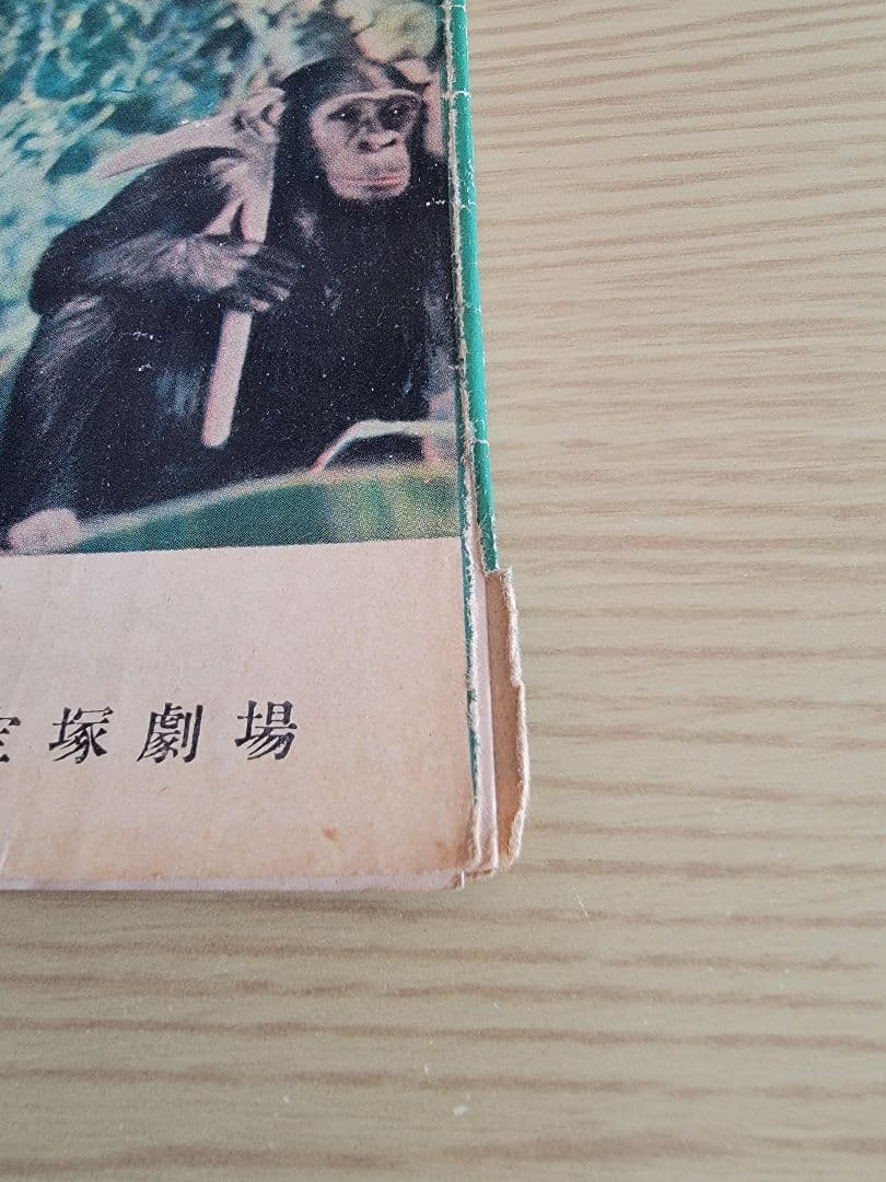 (レア)映画パンフレット　「ターザン」シリーズ　18冊セット