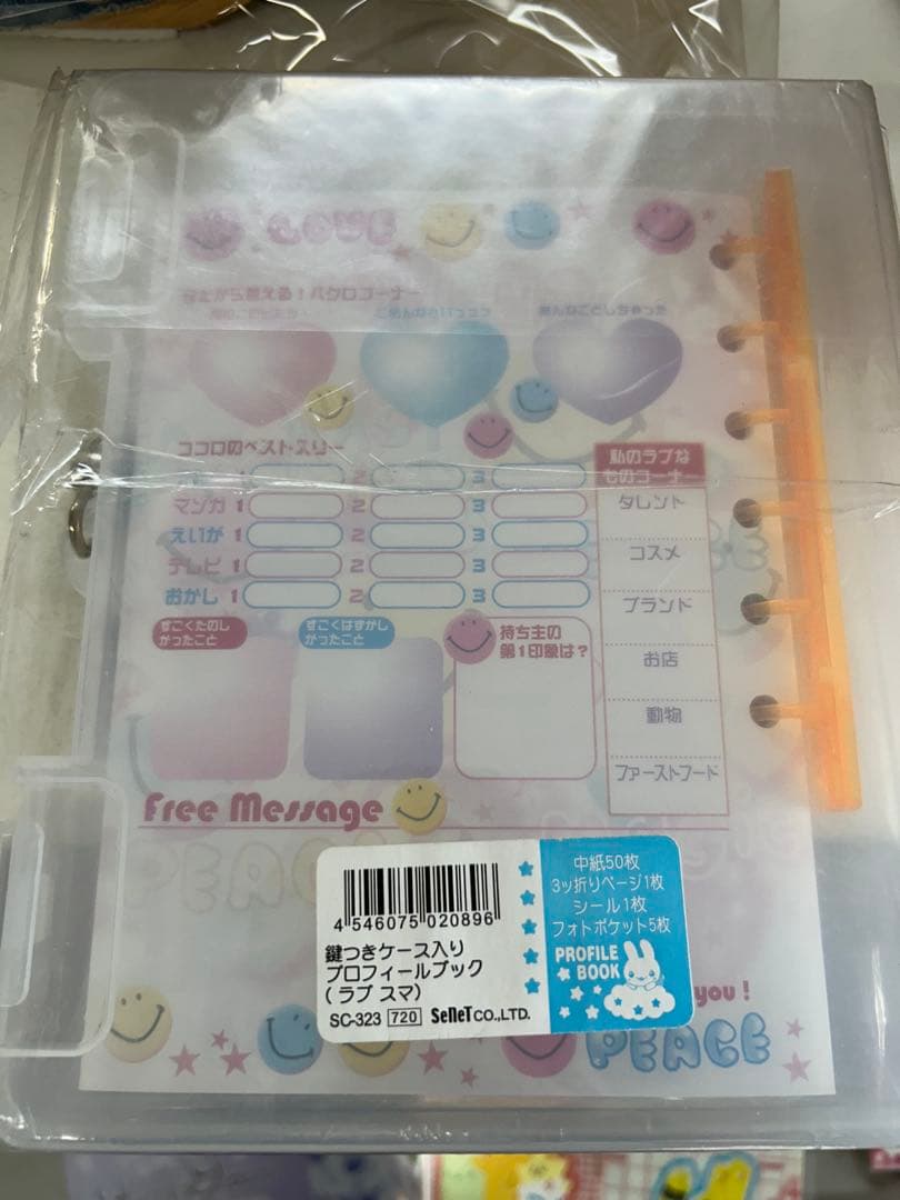 プロフィール帳　鍵付き　平成レトロ　うさぎ