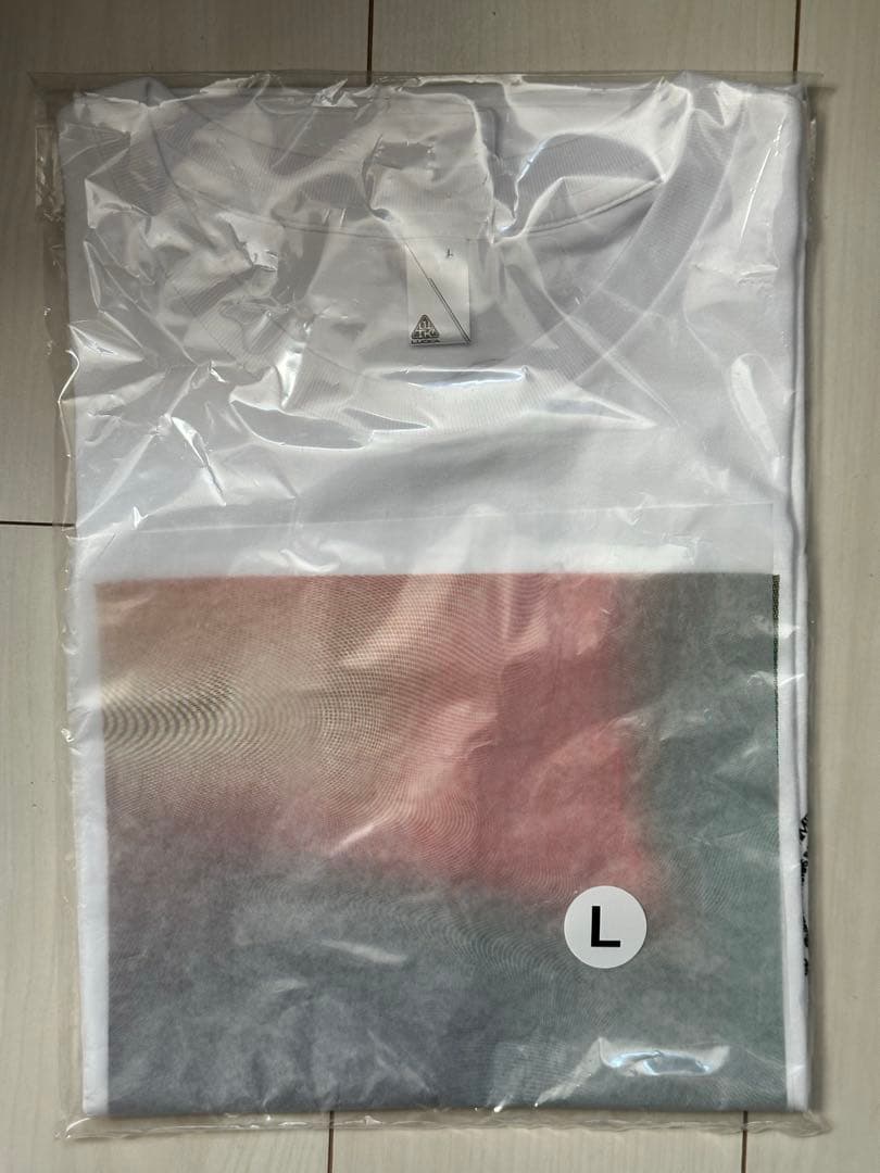 RADWIMPS スペシャルコラボレーションTシャツ　L