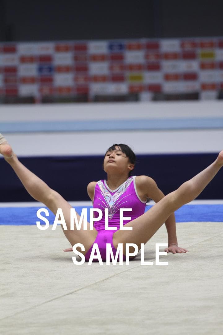 97~19年 女子体操画像集(日本選手中心) 48万枚以上