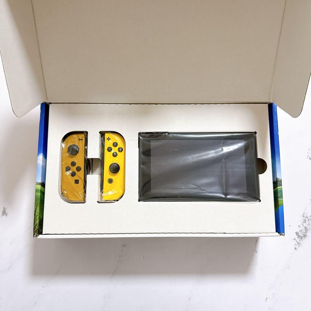 【動作確認済】Nintendo Switch　Let’s Go! ピカチュウ仕様