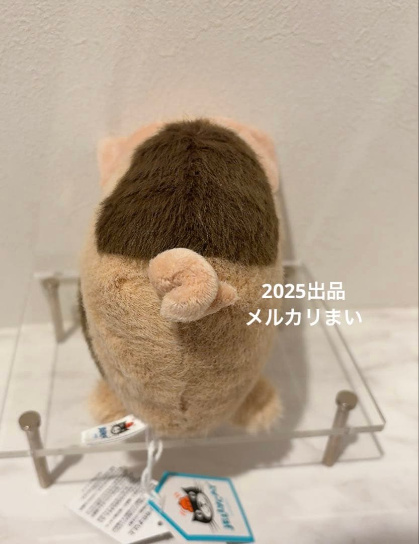  Old Spot Higgledy Piggledy ブタ S