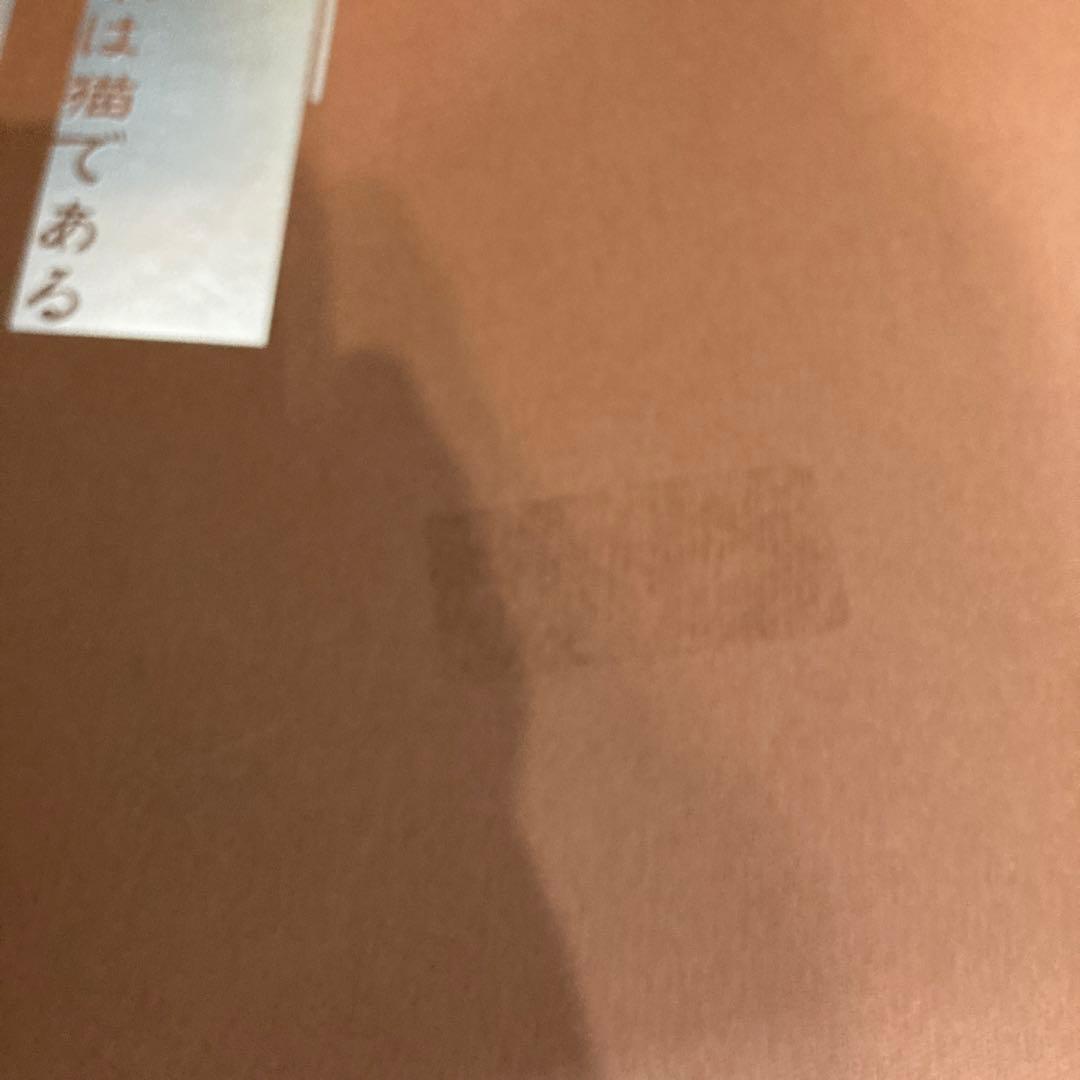 文豪ストレイドッグス アニメイト限定版 Blu-ray  DVD 16巻セット