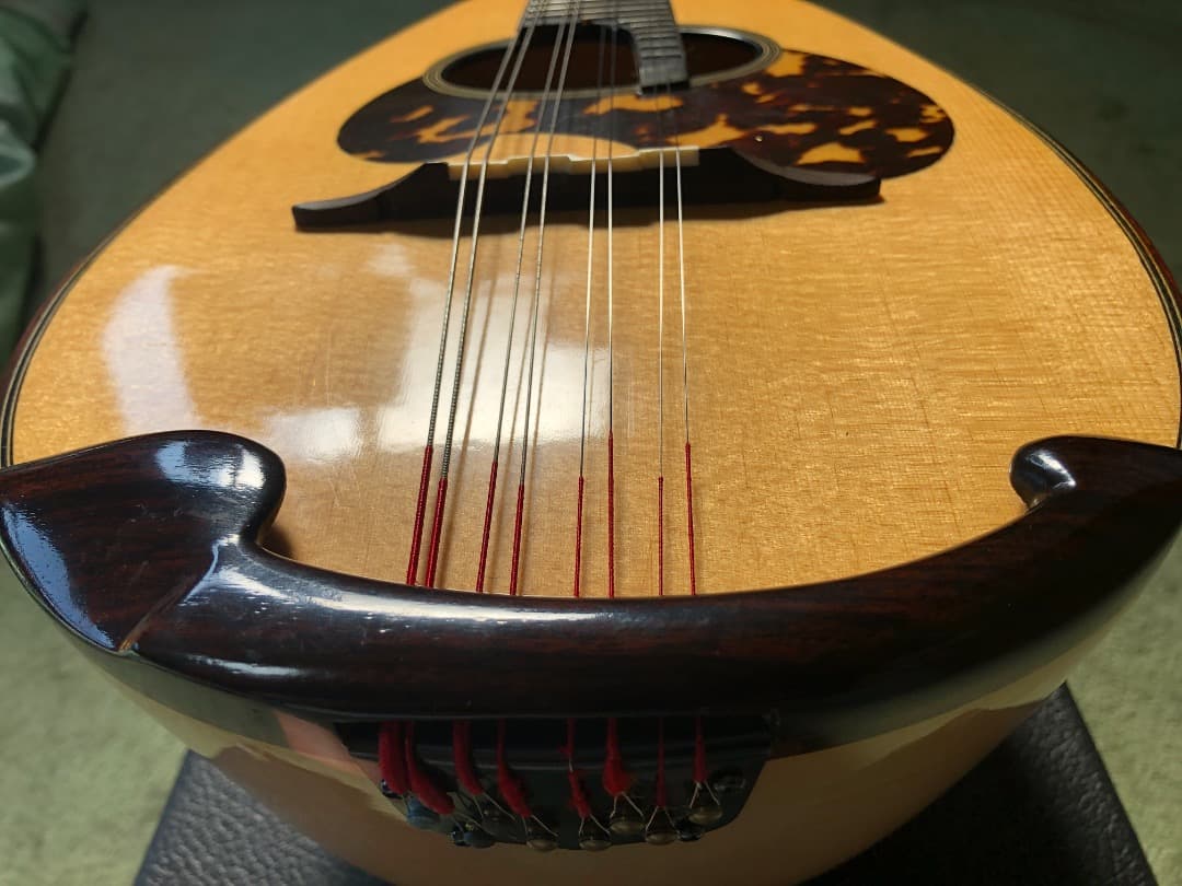 SUZUKI/スズキ M-30 マンドリン 後期型 ネック虎目 超美品