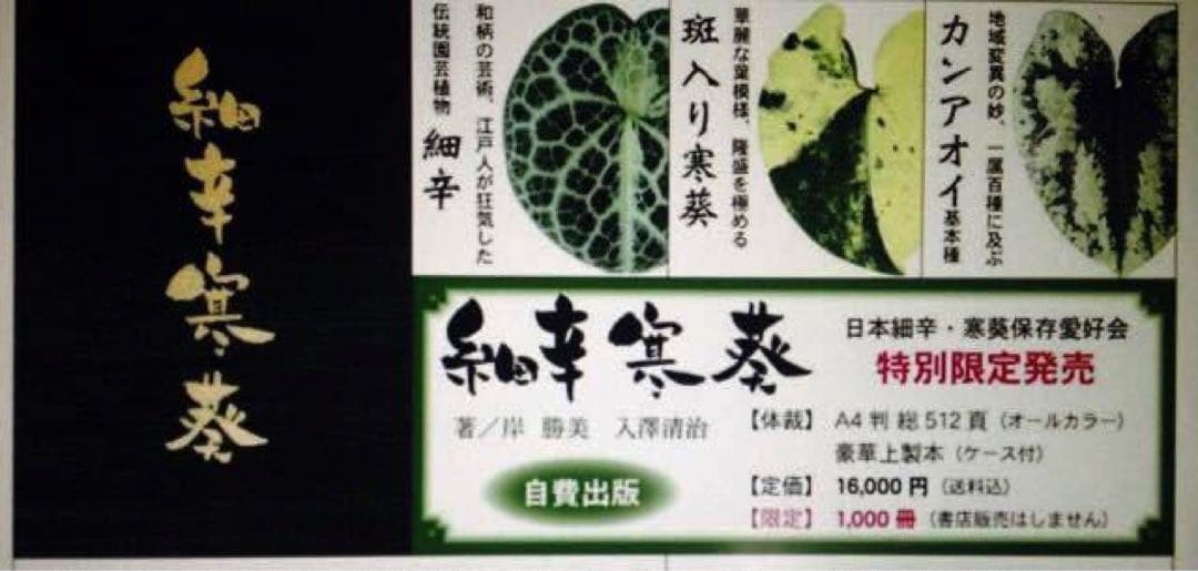 H.　在庫薄　細辛寒葵 1冊　 岸勝美　入澤清治　日本細辛　寒葵保存愛好会