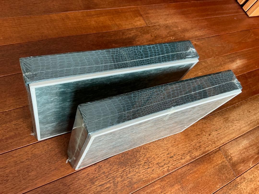 志賀昆虫普及社ボール紙製硝子蓋標本箱特大型2個セット(未使用)