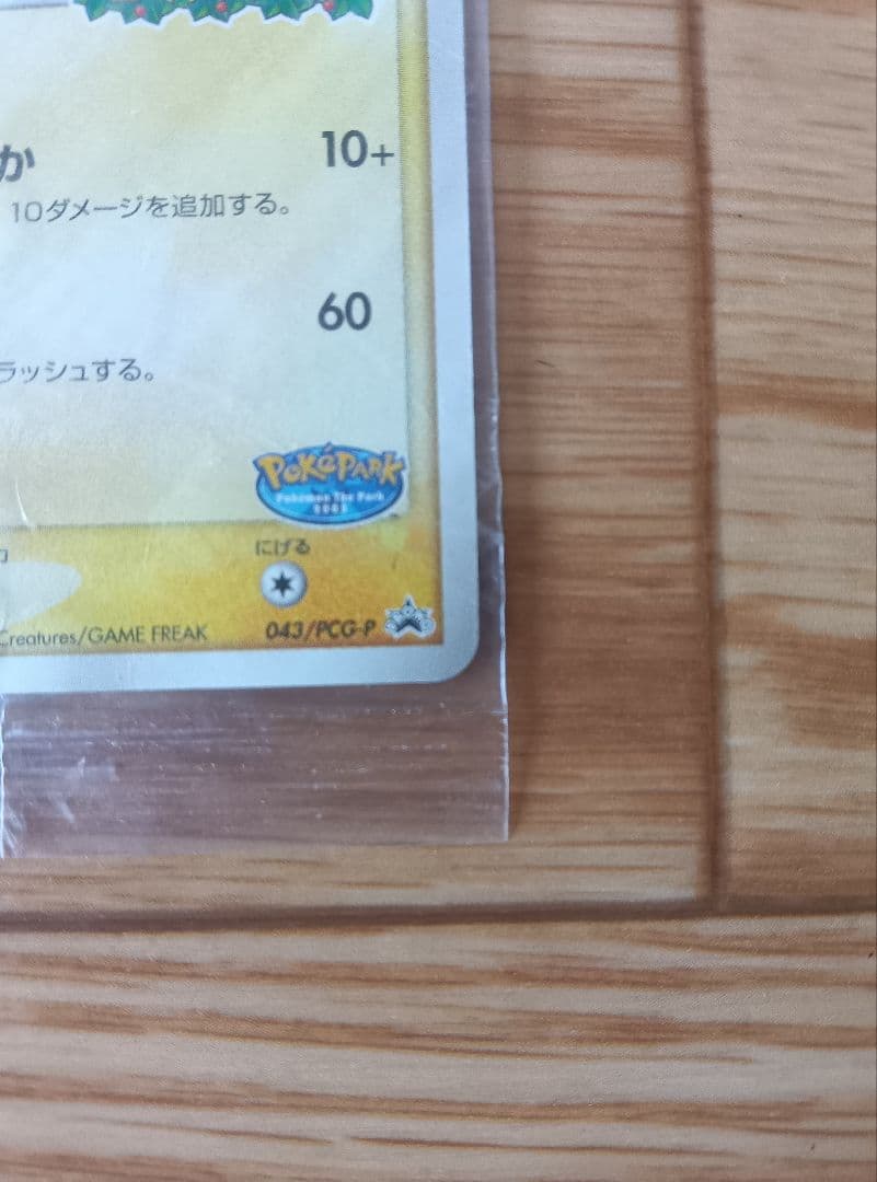 （未開封）ポケパーク ピカチュウプロモ