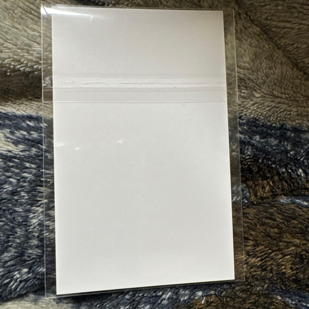 鬼滅の刃 時透無一郎 チェキ風ブロマイド 柱稽古編 箔押し レア