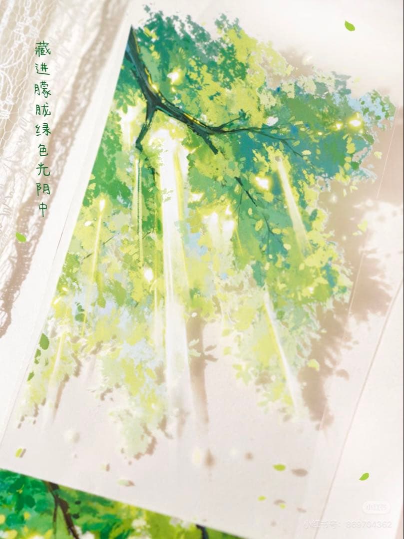 【9328】海外　マステ　5m巻　PETマスキングテープ　木影　四季　背景