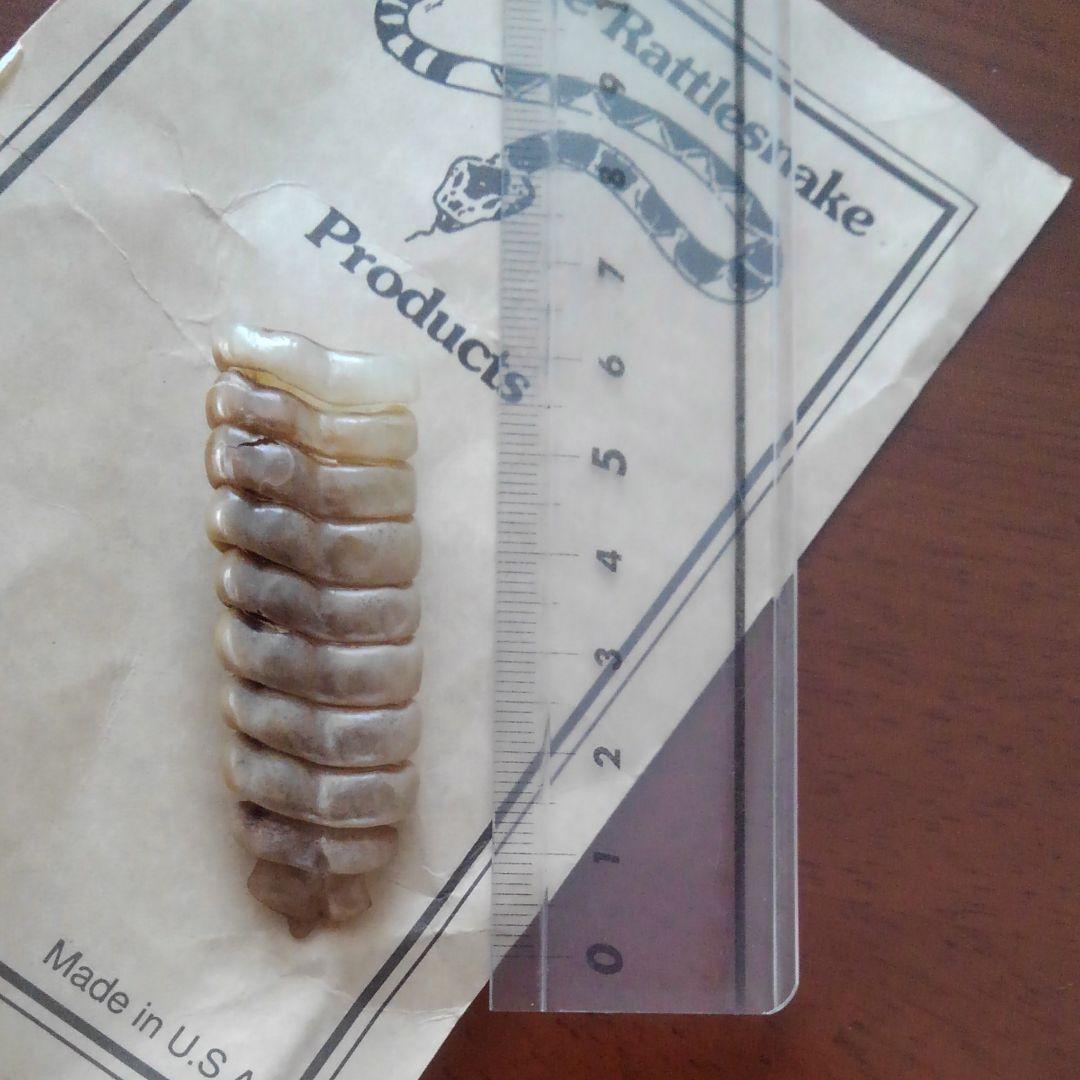 ガラガラ蛇の尻尾　ピン