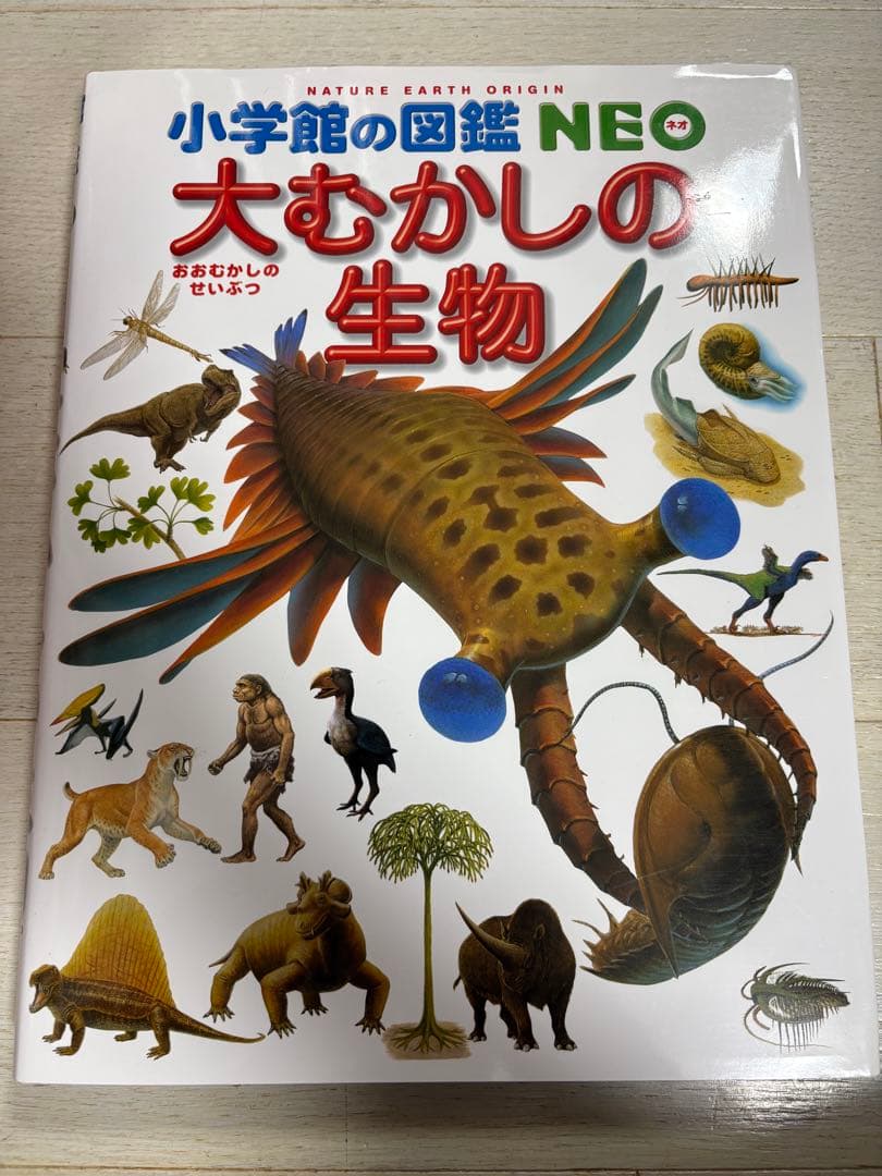 ★小学館の図鑑NEO★全12巻セット★