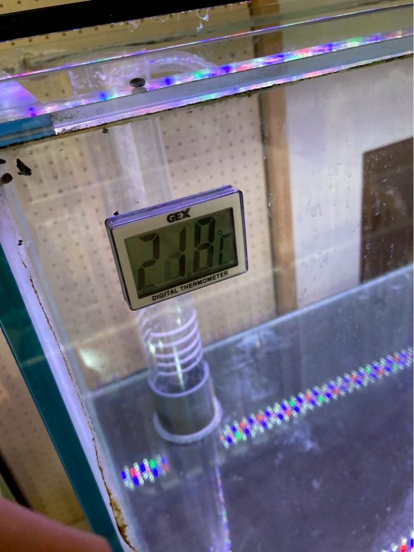 120センチ水槽（引き取り限定）