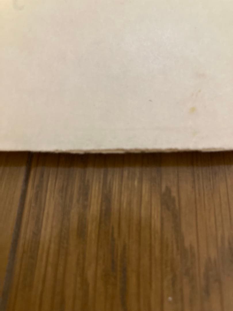 DK最初回GoldビートルズBeatlesレコードPleasePlease Me