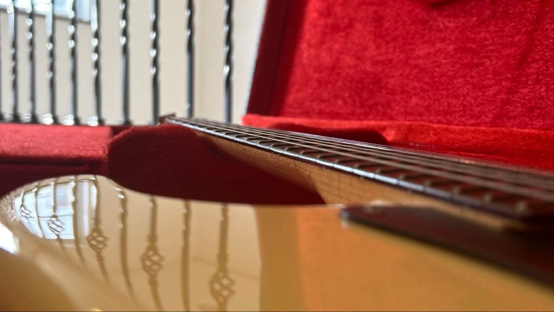 bill's brothers ストラトタイプ　2ハム