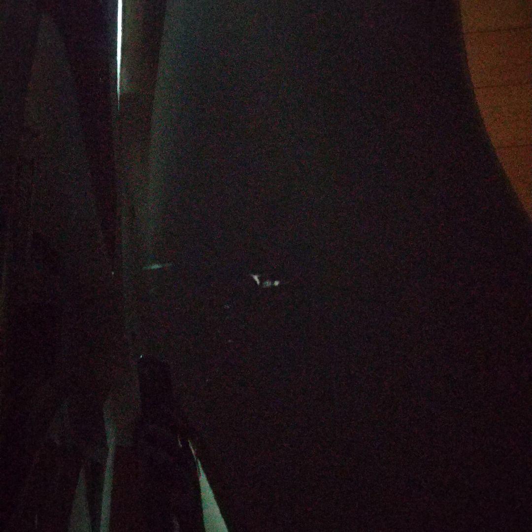 チェロ ハードケース 色ブラック4/4 東洋プリュームファイバー