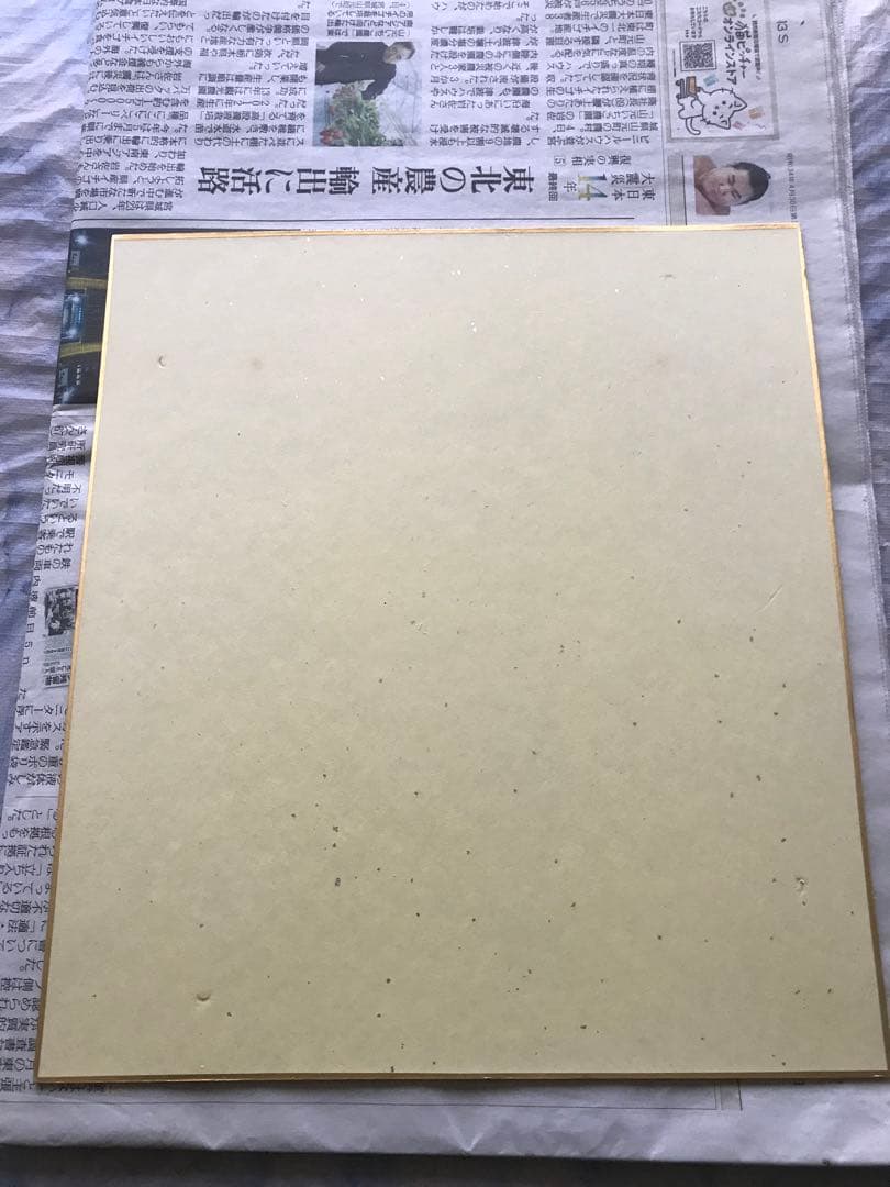 若木民喜直筆　神のみぞ知るセカイ中川かのんイラストサイン入り色紙