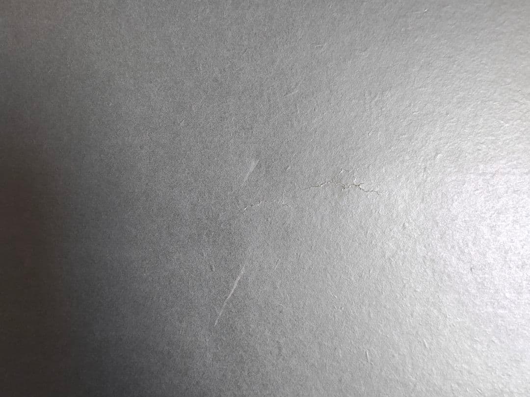 F30 額縁+油彩画セット アクリル板 【匿名配送/ 梱包・発送たのめる便】