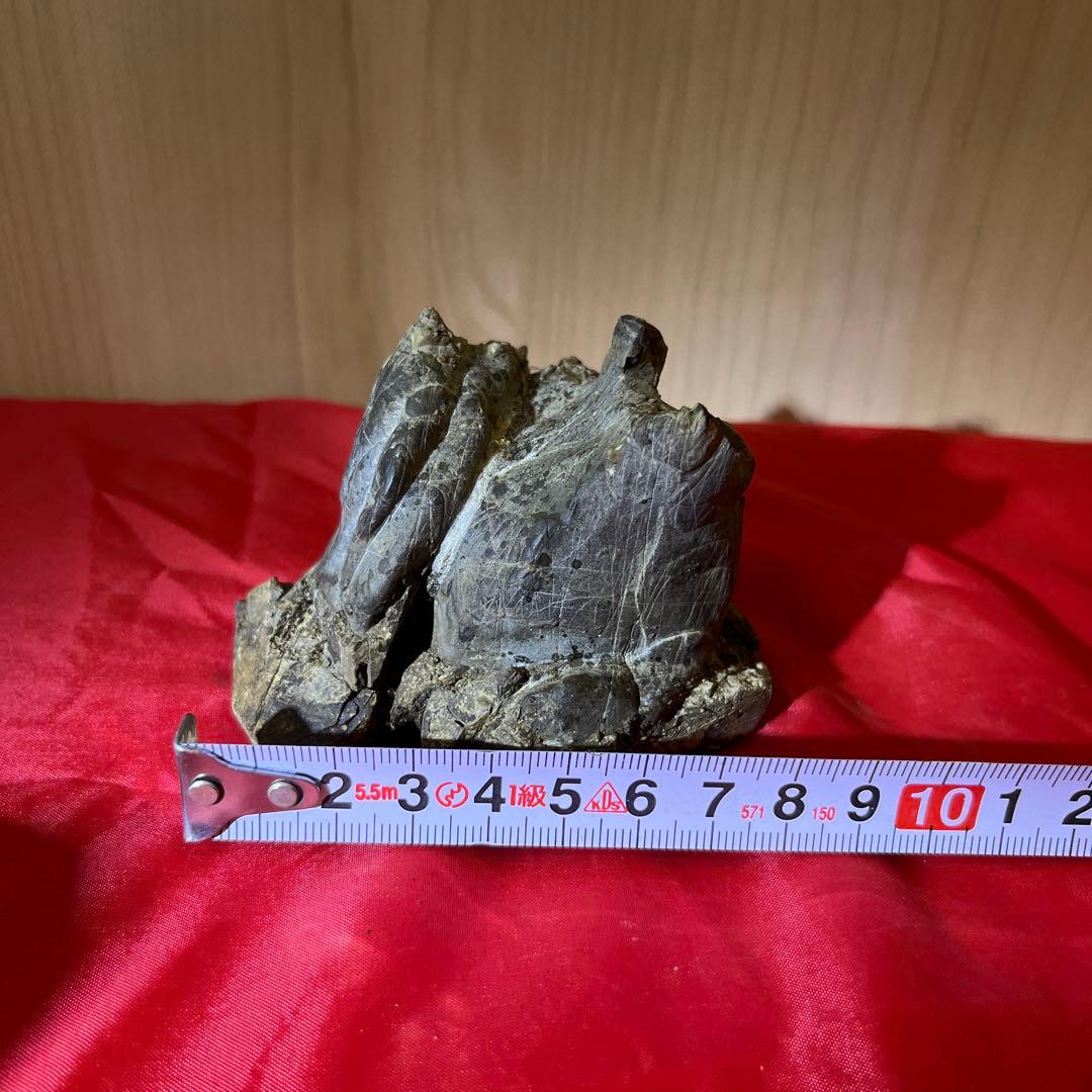 【和歌山古谷石】自然石 盆石　鑑賞石　置物　天然石 原石　滝