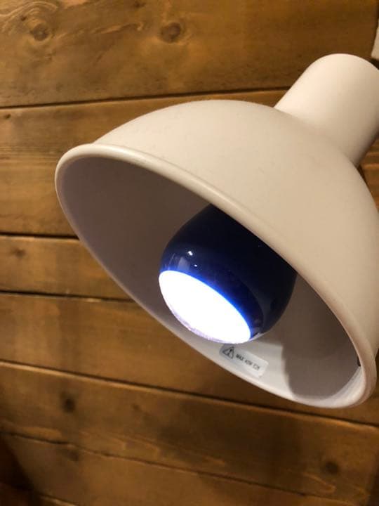 戦争中　燈火管制用電球　マツダ　昭和レトロ