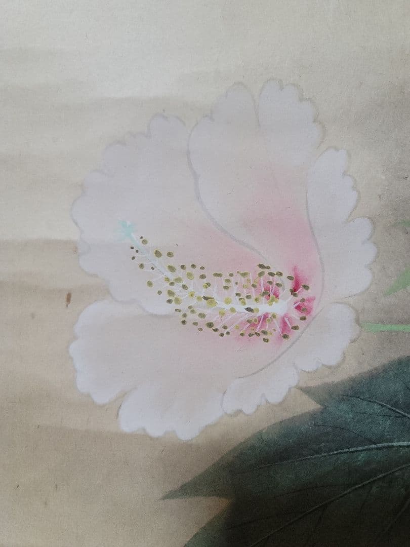 野々内安太郎画伯 軸装 芙蓉