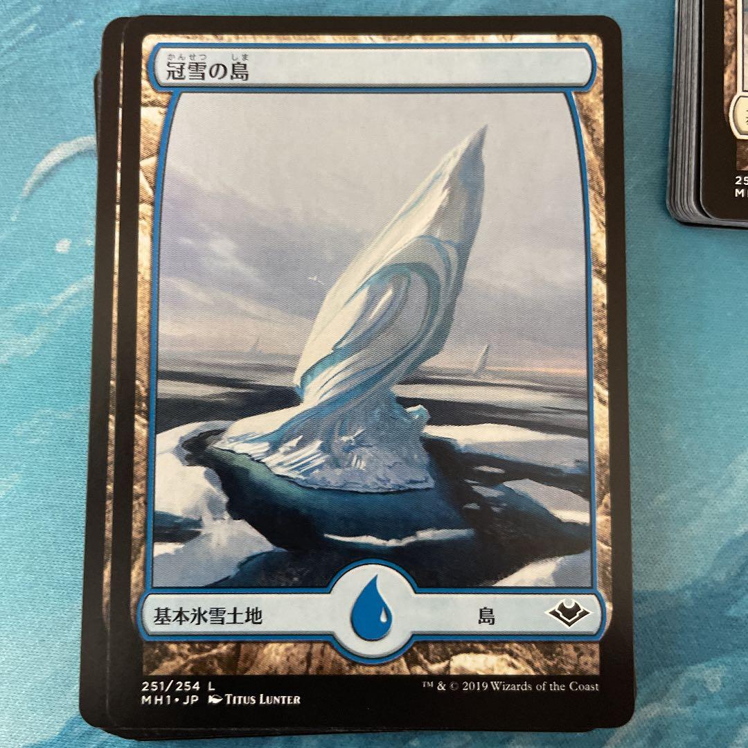 MTG 冠雪土地　日本語　モダンホライゾン