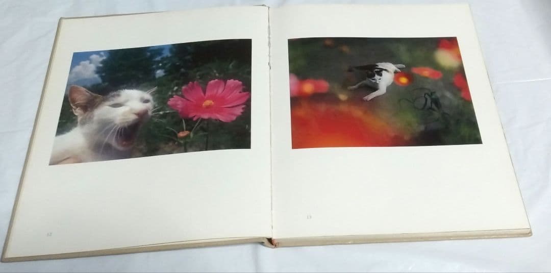 深瀬昌久　猫の麦わら帽子 THE STRAW HAT CAT