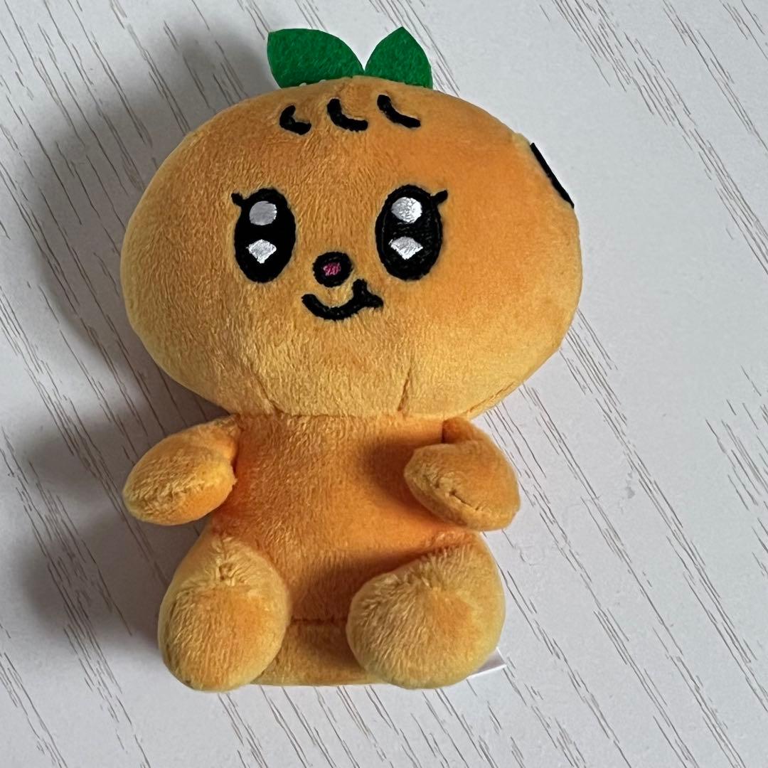 SEVENTEEN MINITEEN スングァン 公式 プギュリ