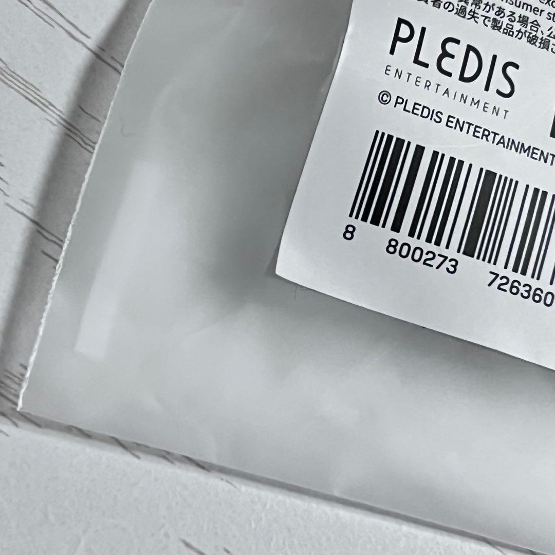 SEVENTEEN MINITEEN スングァン 公式 プギュリ