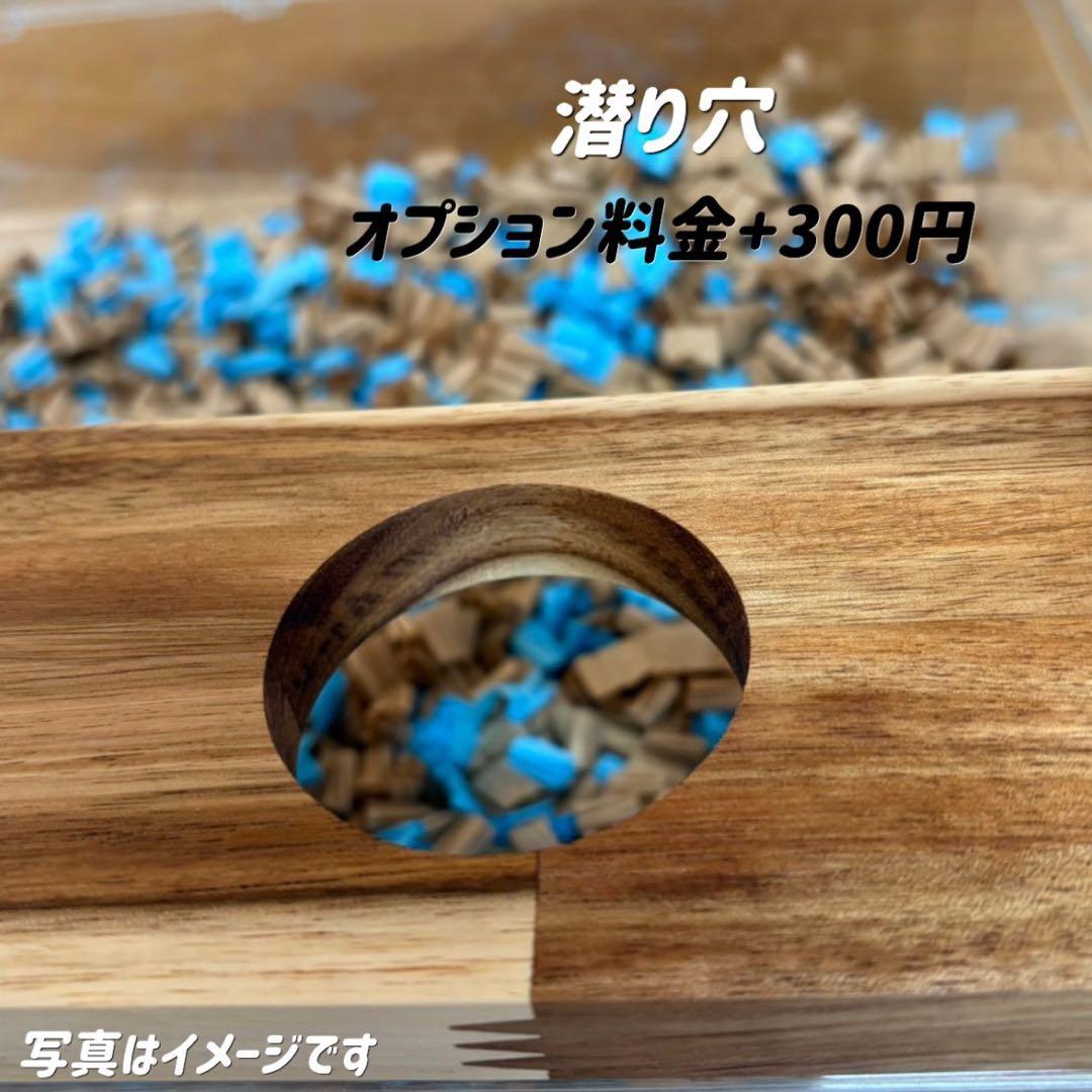 はーやんふぁむページ グラスハーモニー600 Nカジカジカミカミ防止ロフト